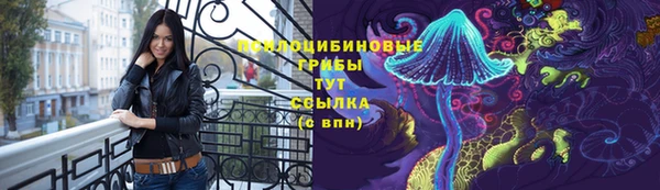 тгк Вязьма