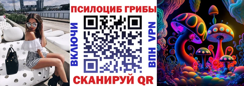 Купить  Славгород  Галлюциногенные грибы Cubensis 